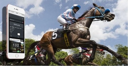 How to predict horse racing bets to increase the winning rate up to 70%