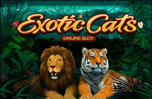 Exotic Cats - Casino game with 243 ways to win