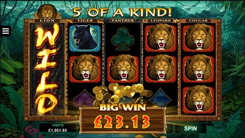 Exotic Cats - Casino game with 243 ways to win