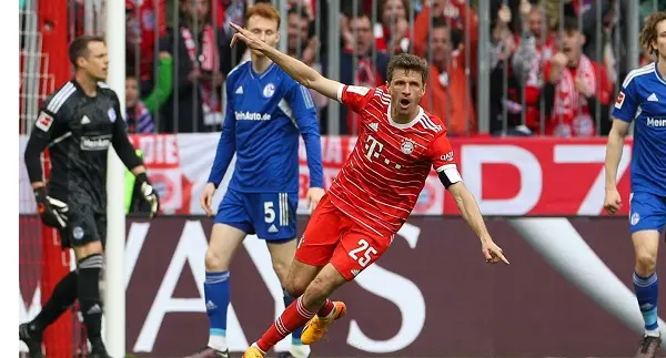 ตรวจสอบอัตราต่อรอง Bayern vs Darmstadt, 20.30 น. วันที่ 28 ตุลาคม