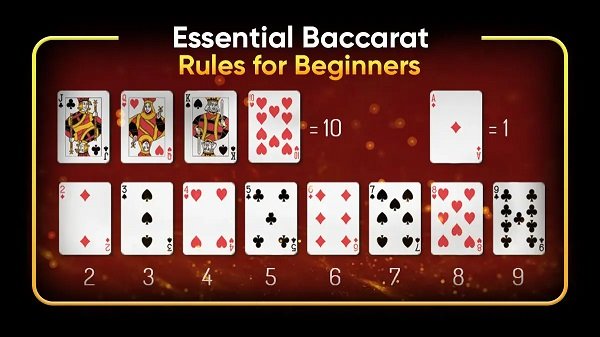 Learn Baccarat terminology at 188BET